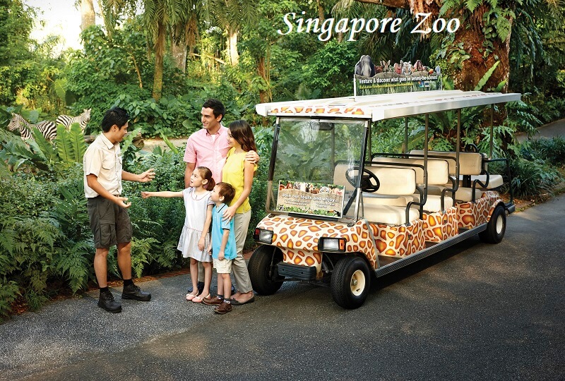 Singapore Zoo